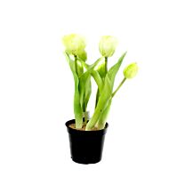 Kunststoff Tulpe Simon/Knospe/Blüte