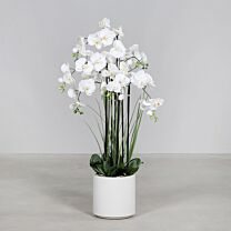 Kunststoff Phalaenopsispflanze Camila