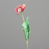 Kunststoff Tulpe Fransen