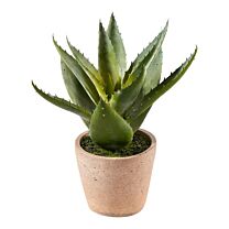 Kunststoff Pflanze Aloe