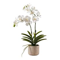 Kunststoff Phalaenopsispflanze Sibylle