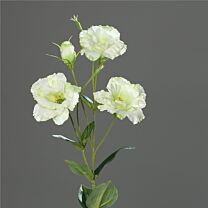Kunststoff Lysianthus Claire