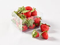 Erdbeere Neue Ernte