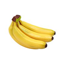 Bananenbund Yellow