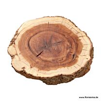 Holz Baumscheibe Natura