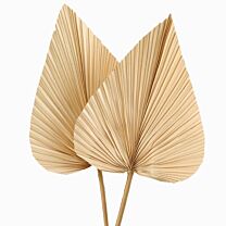 Bambus Blatt Palmblatt