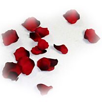 Kunststoff Rosenblütenblatt