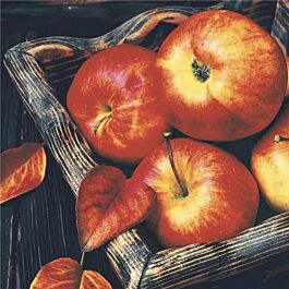 Serviette Äpfel im Obstkorb (20 Stück)