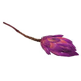 Repens Flower (100 Stück)