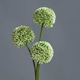 Kunststoff Allium Judi (3 Stück)