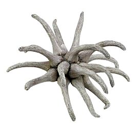 Spidergum Klaue (100 Stück)