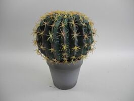 Kunststoff Kaktus Mexico/Bola 