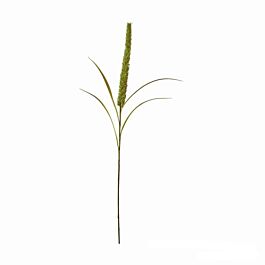 Kunststoff Gras Katzenschwanz/Flora 