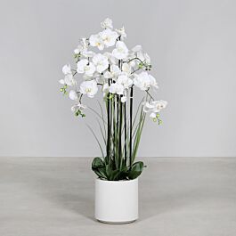 Kunststoff Phalaenopsispflanze Camila 