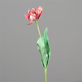 Kunststoff Tulpe Fransen 