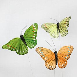 Feder Schmetterling Flori/Bunt (24 Stück)