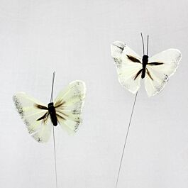 Feder Schmetterling Flori (24 Stück)