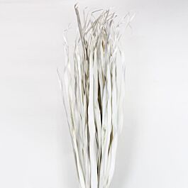 Palmblatt (400 Gramm)
