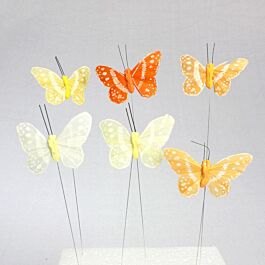 Feder Schmetterling Flori (24 Stück)