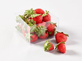 Erdbeere Neue Ernte (24 Stück)