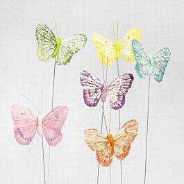 Feder Schmetterling Luzy (24 Stück)