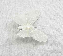 Feder Schmetterling Papillon (12 Stück)