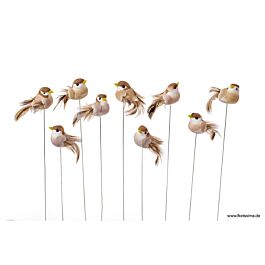 Feder Vogel Joy/Natural (24 Stück)