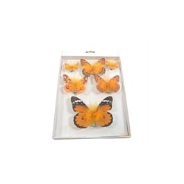 Feder Schmetterling Grössenmix (12 Stück)