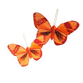 Feder Schmetterling Clara (12 Stück)