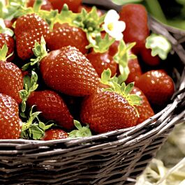 Serviette Erdbeeren im Korb (20 Stück)