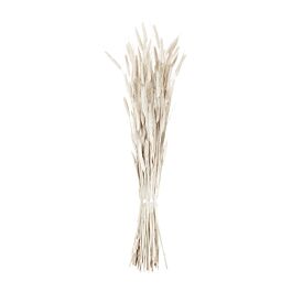 Weizen (Tarwe) (150 Gramm)