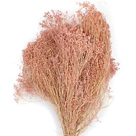 Broom Bloom (300 Gramm)