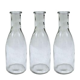 Glas Flasche Bottle/Langhals (3 Stück)